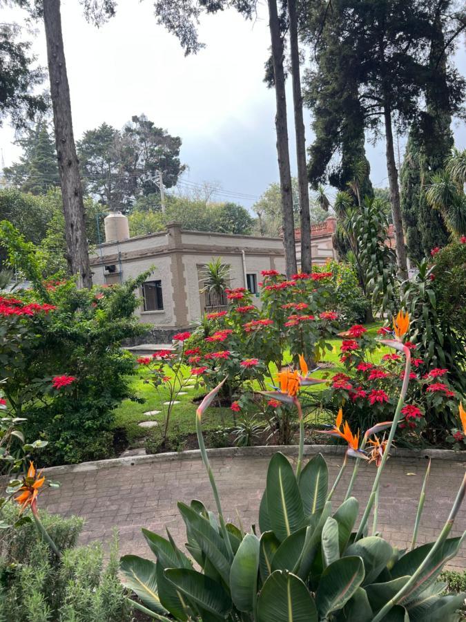 Hotel Express Quinta Soledad Mexico-stad Buitenkant foto